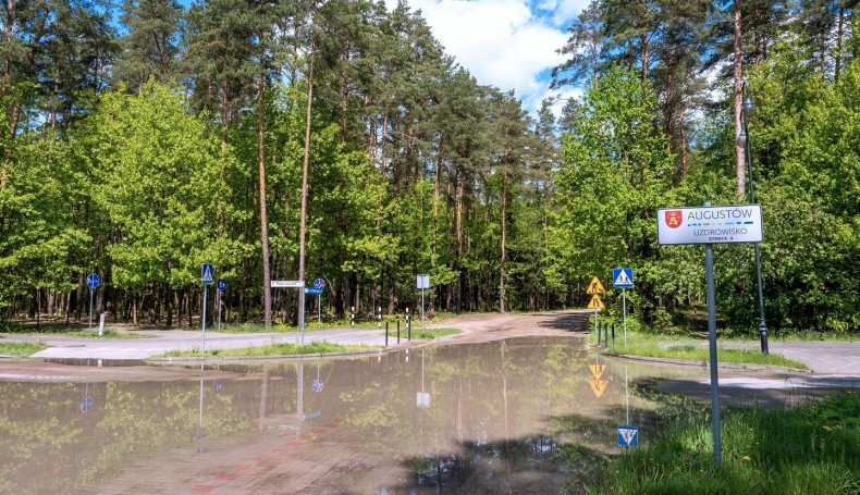 Fot. Marta Sołtys